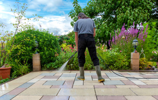 Animal Enclosure Cleaning in Bowling Green, MD